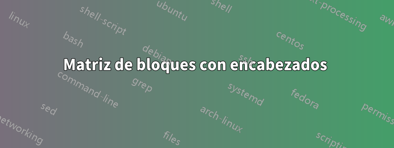 Matriz de bloques con encabezados