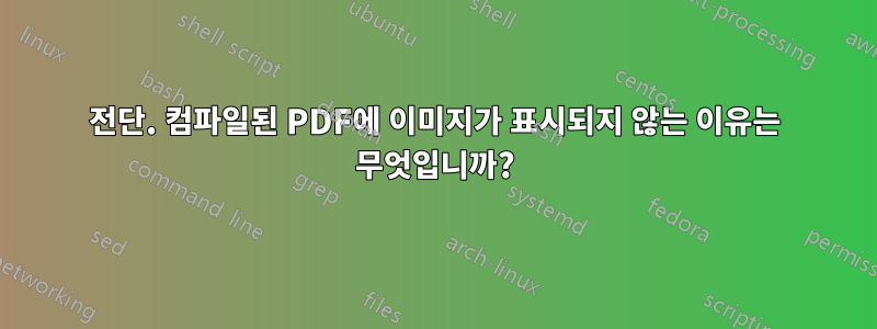 전단. 컴파일된 PDF에 이미지가 표시되지 않는 이유는 무엇입니까?