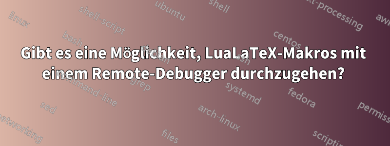 Gibt es eine Möglichkeit, LuaLaTeX-Makros mit einem Remote-Debugger durchzugehen?