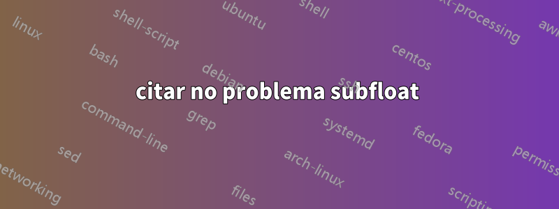 citar no problema subfloat