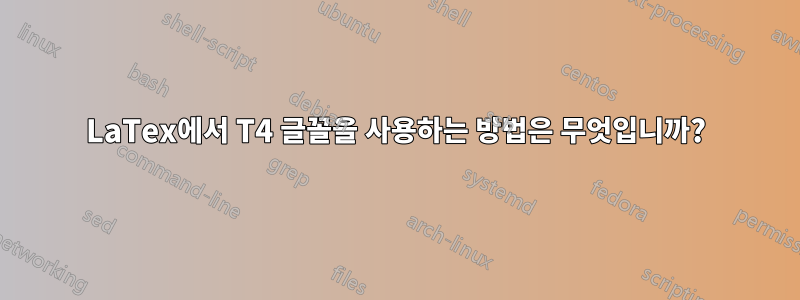 LaTex에서 T4 글꼴을 사용하는 방법은 무엇입니까?