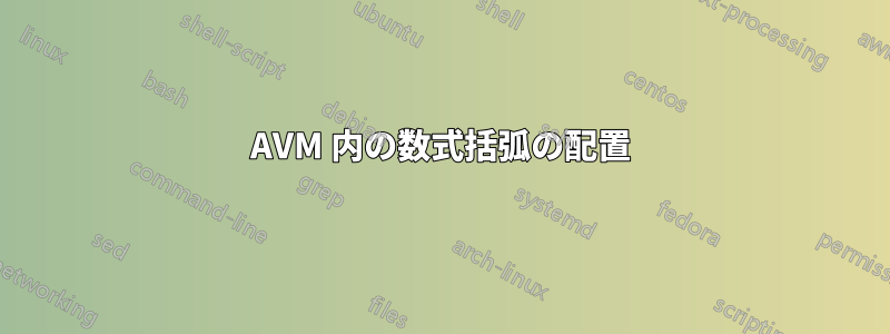 AVM 内の数式括弧の配置