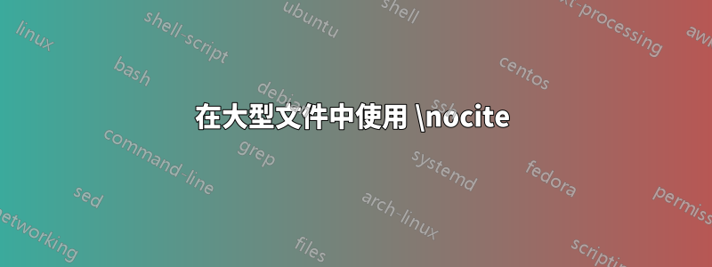 在大型文件中使用 \nocite