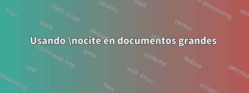Usando \nocite en documentos grandes