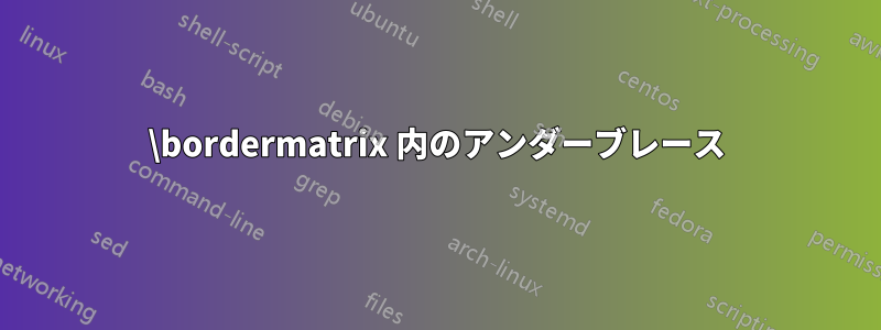 \bordermatrix 内のアンダーブレース