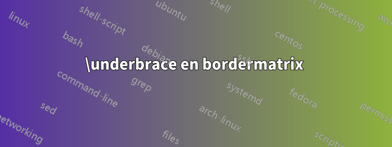\underbrace en bordermatrix