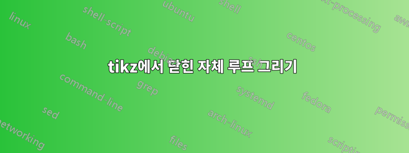 tikz에서 닫힌 자체 루프 그리기