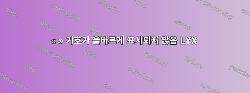 « » 기호가 올바르게 표시되지 않음 LYX