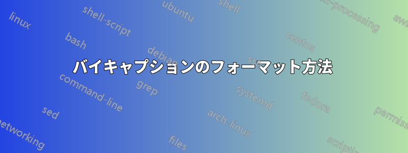 バイキャプションのフォーマット方法