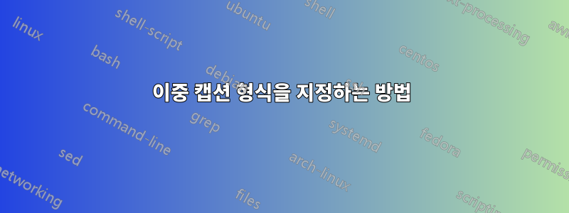이중 캡션 형식을 지정하는 방법