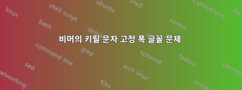 비머의 키릴 문자 고정 폭 글꼴 문제