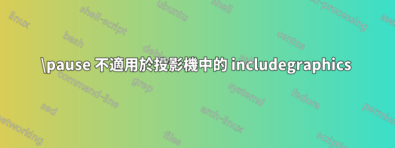\pause 不適用於投影機中的 includegraphics