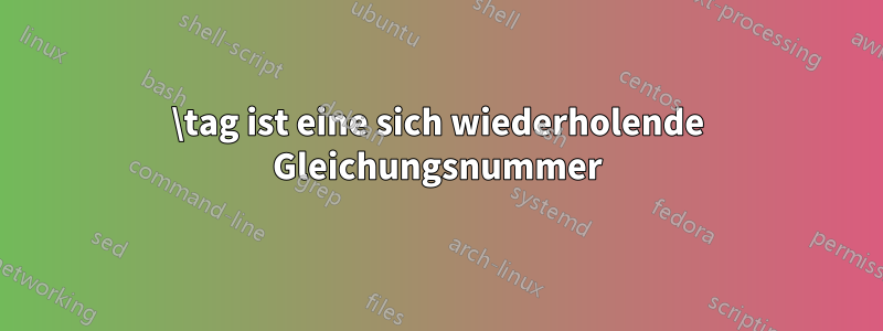 \tag ist eine sich wiederholende Gleichungsnummer