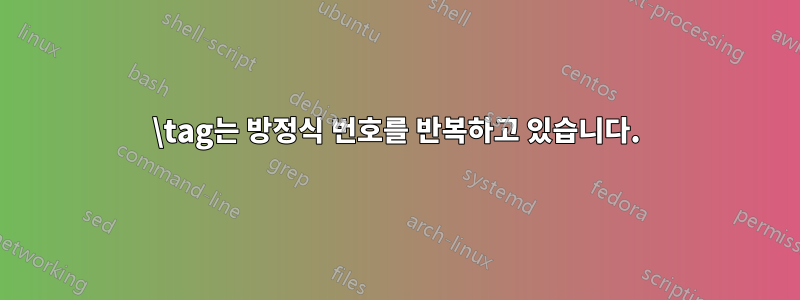 \tag는 방정식 번호를 반복하고 있습니다.