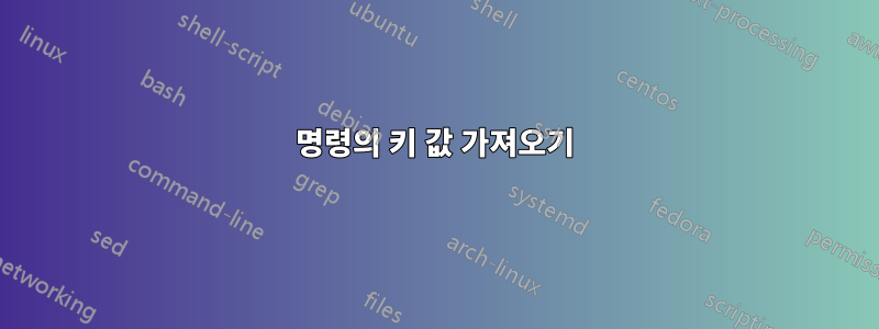 명령의 키 값 가져오기