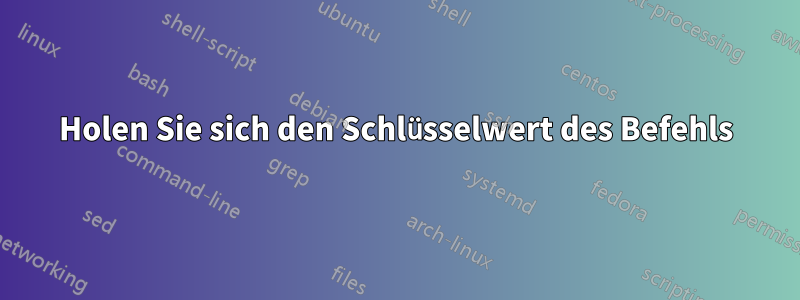 Holen Sie sich den Schlüsselwert des Befehls