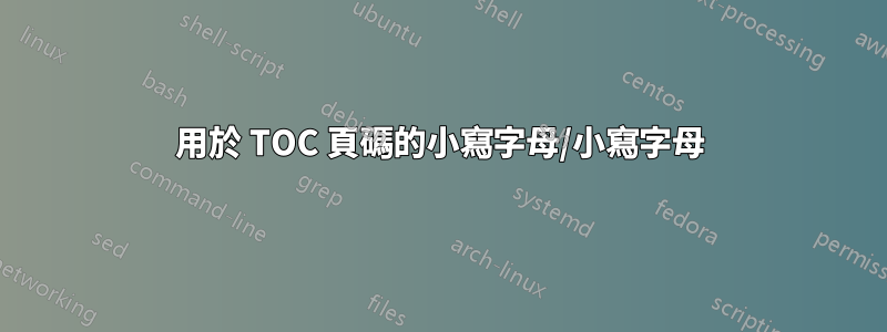 用於 TOC 頁碼的小寫字母/小寫字母