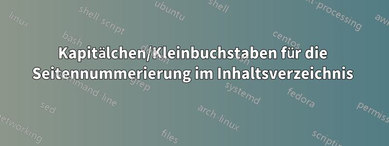 Kapitälchen/Kleinbuchstaben für die Seitennummerierung im Inhaltsverzeichnis