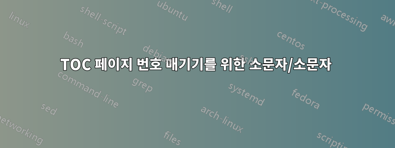 TOC 페이지 번호 매기기를 위한 소문자/소문자