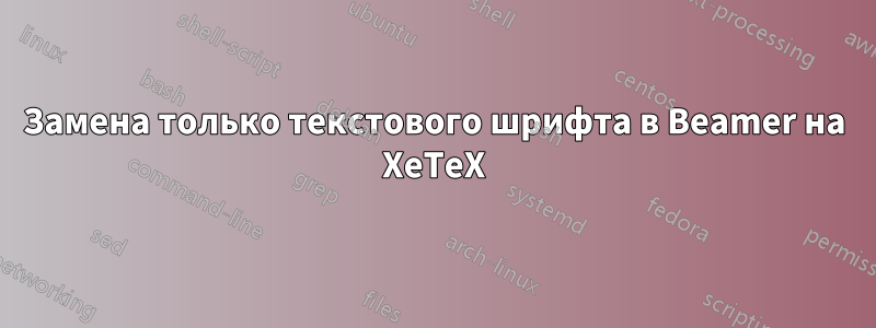 Замена только текстового шрифта в Beamer на XeTeX