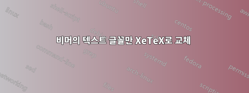 비머의 텍스트 글꼴만 XeTeX로 교체