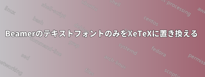 BeamerのテキストフォントのみをXeTeXに置き換える