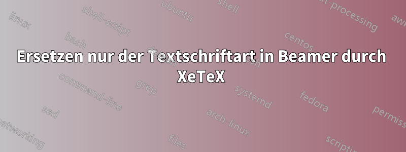 Ersetzen nur der Textschriftart in Beamer durch XeTeX