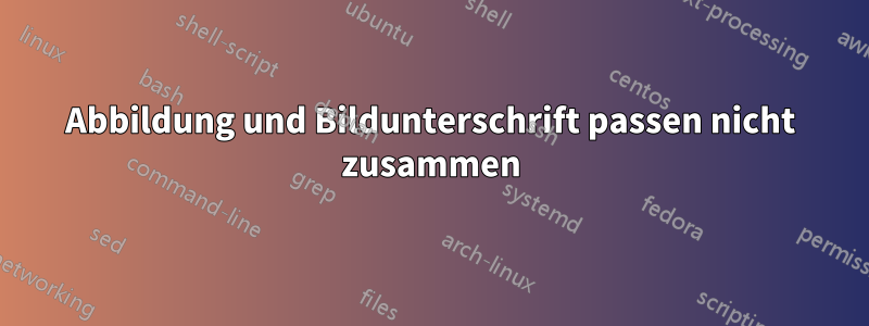 Abbildung und Bildunterschrift passen nicht zusammen