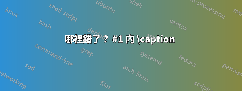 哪裡錯了？ #1 內 \caption