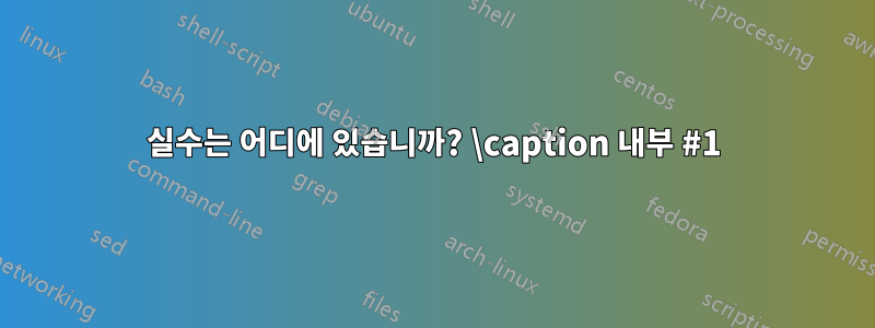 실수는 어디에 있습니까? \caption 내부 #1