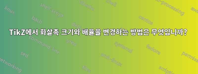 TikZ에서 화살촉 크기와 배율을 변경하는 방법은 무엇입니까?