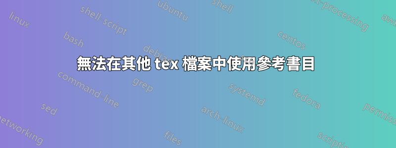 無法在其他 tex 檔案中使用參考書目