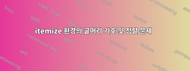 itemize 환경의 글머리 기호 및 정렬 문제 