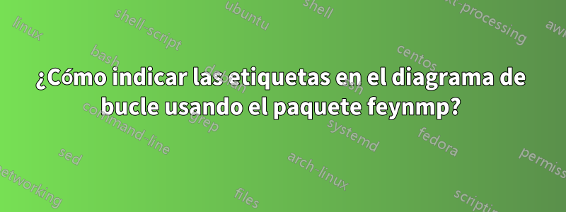 ¿Cómo indicar las etiquetas en el diagrama de bucle usando el paquete feynmp?