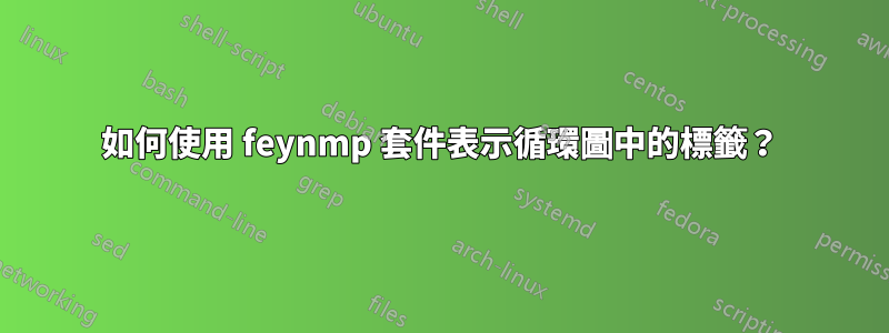 如何使用 feynmp 套件表示循環圖中的標籤？