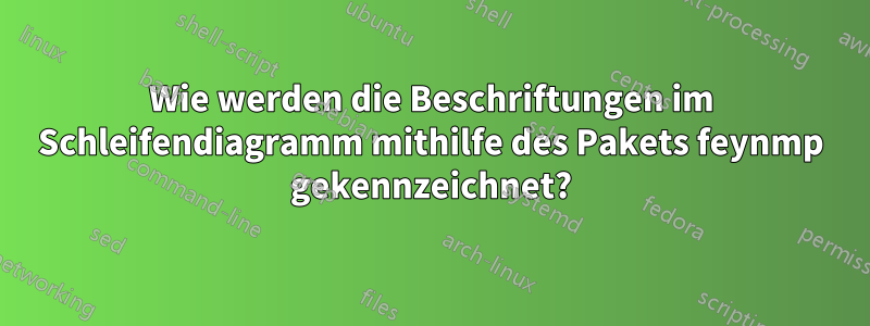 Wie werden die Beschriftungen im Schleifendiagramm mithilfe des Pakets feynmp gekennzeichnet?