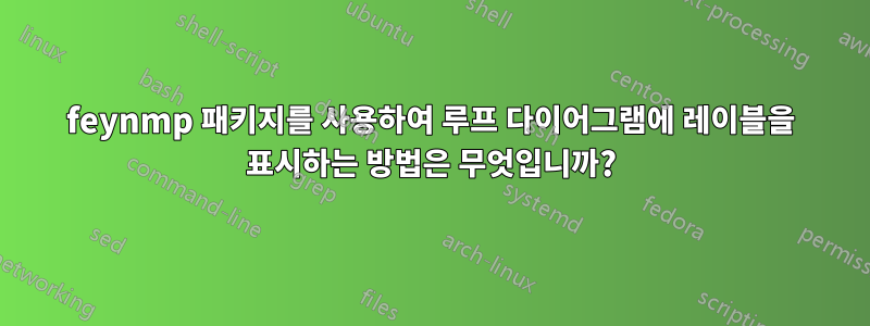 feynmp 패키지를 사용하여 루프 다이어그램에 레이블을 표시하는 방법은 무엇입니까?