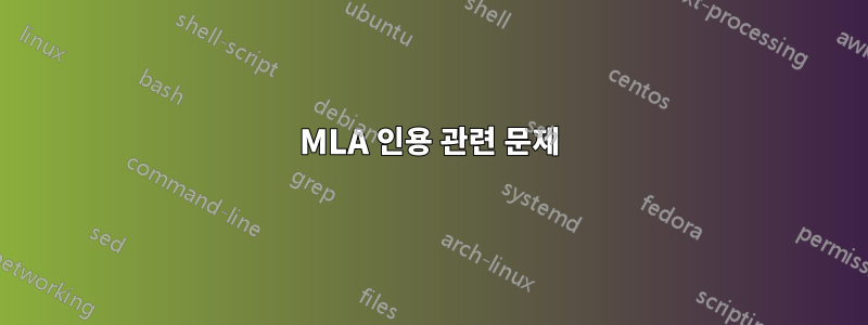 MLA 인용 관련 문제