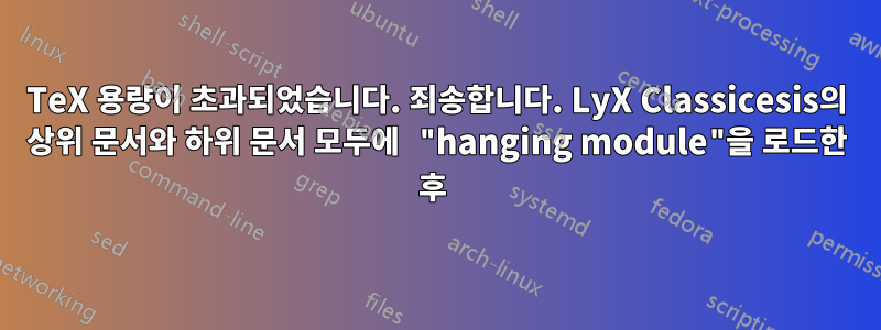 TeX 용량이 초과되었습니다. 죄송합니다. LyX Classicesis의 상위 문서와 하위 문서 모두에 "hanging module"을 로드한 후 