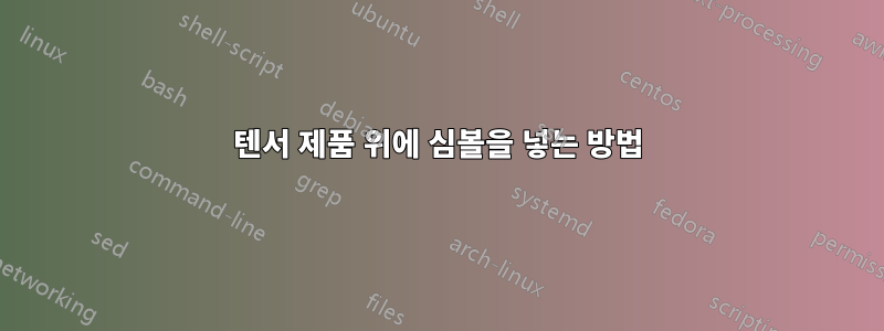 텐서 제품 위에 심볼을 넣는 방법
