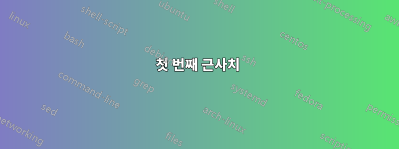 첫 번째 근사치