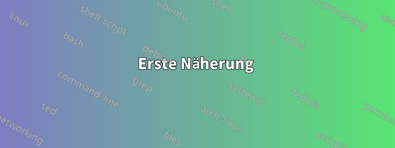 Erste Näherung