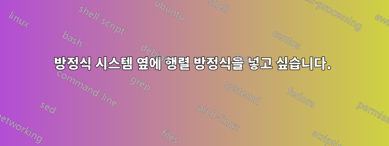 방정식 시스템 옆에 행렬 방정식을 넣고 싶습니다.