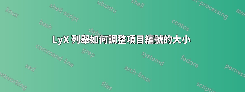 LyX 列舉如何調整項目編號的大小