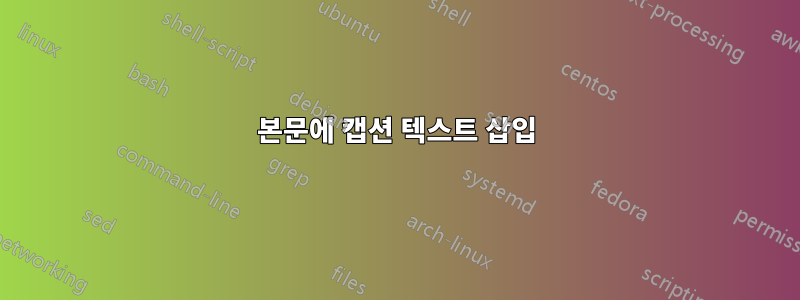 본문에 캡션 텍스트 삽입