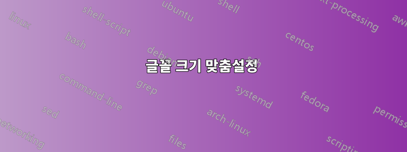 글꼴 크기 맞춤설정