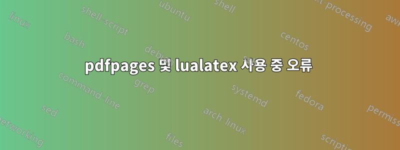 pdfpages 및 lualatex 사용 중 오류