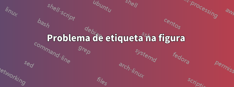 Problema de etiqueta na figura