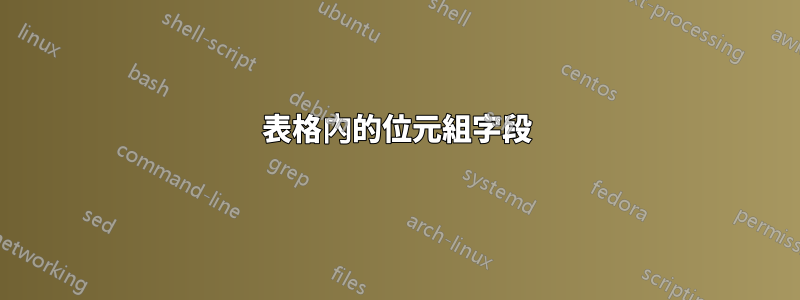 表格內的位元組字段