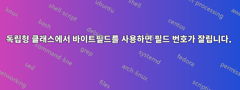 독립형 클래스에서 바이트필드를 사용하면 필드 번호가 잘립니다.